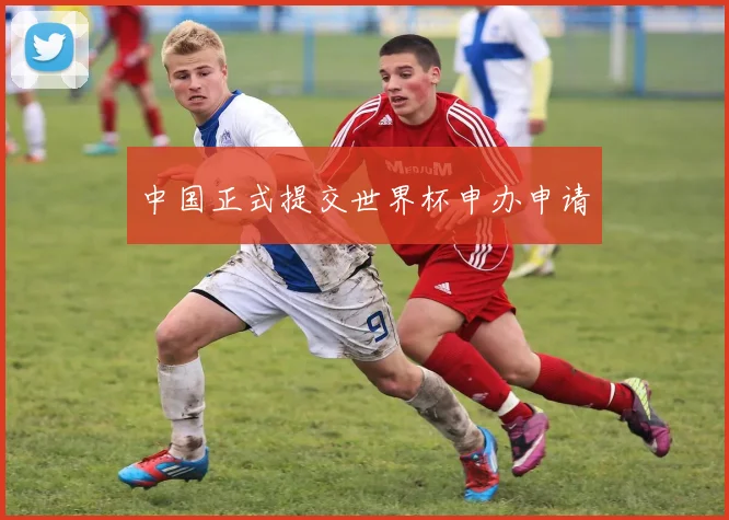 中国正式提交世界杯申办申请