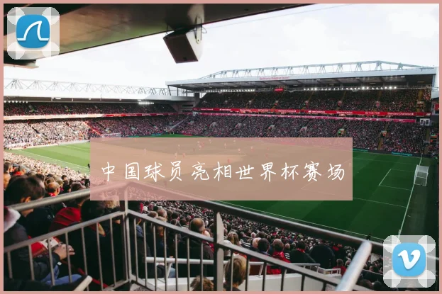 中国球员亮相世界杯赛场